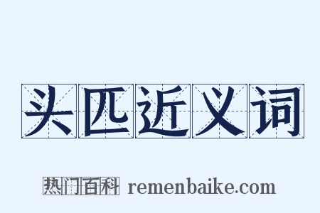 头匹近义词是什么意思的图片